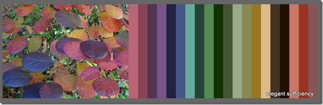 Color Palette FX - Create Color Palettes from Images - Mozilla Firefox 06112016 183401